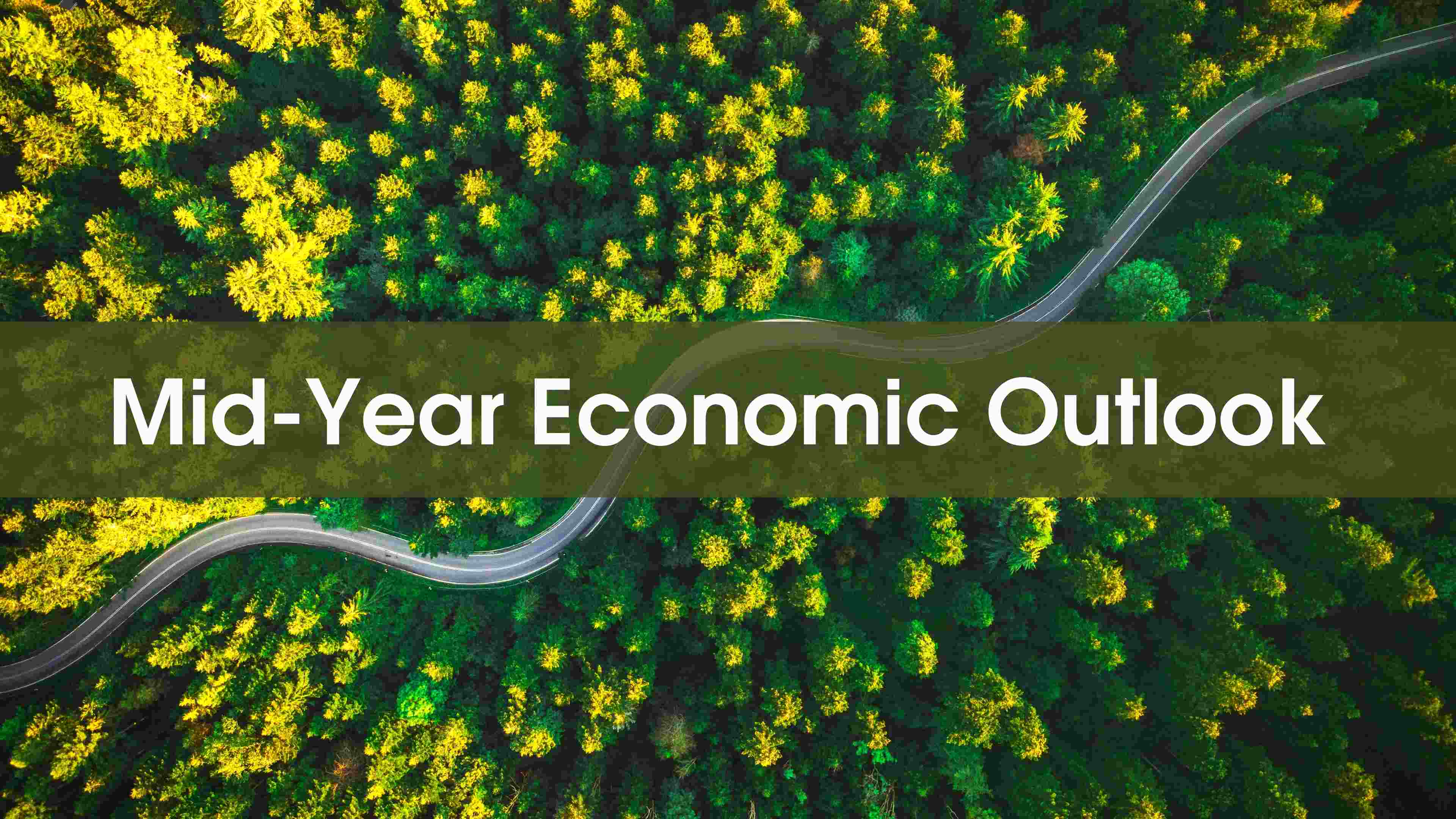 2022 Mid-Year Economic Outlook